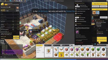 MapleStory2 - Housing