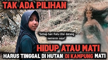 KISAH NYATA GADIS CANTIK TINGGAL SENDIRI DI HUTAN BERTEMAN DENGAN RATU ULAR