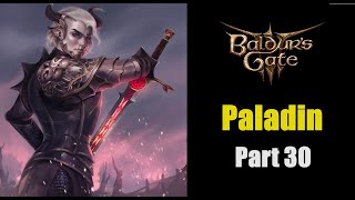 Baldur's Gate 3 / Honour Mode / Paladin / Good - Part 30 (Act 2)