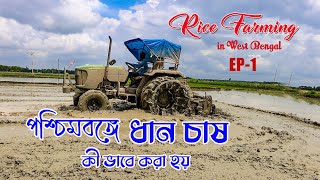 Rice Farming Video Rice Farming In West Bengal ধন চষ এর ভডও