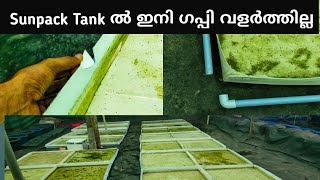 #sunpack sheet തന്ന പണി #guppy tank Midhula Farm Hut # guppy #guppy tank making malayalam