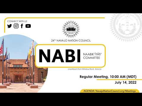 Naabik’íyáti’ Committee Regular Meeting, 24th Navajo Nation Council (07/14/2022) via Telecommu