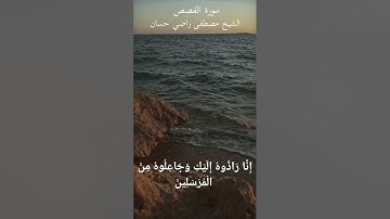 سورة القصص الشيخ مصطفى راضي حسان
