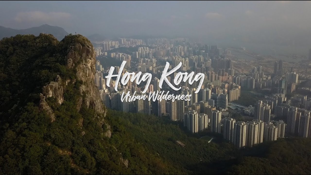 Hong Kong - Urban Wilderness - Travel Film - 2018