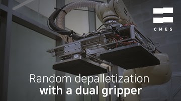 [Demo] CMES Random Depalletizing with CMES Dual Gripper / 물류자동화 물류로봇