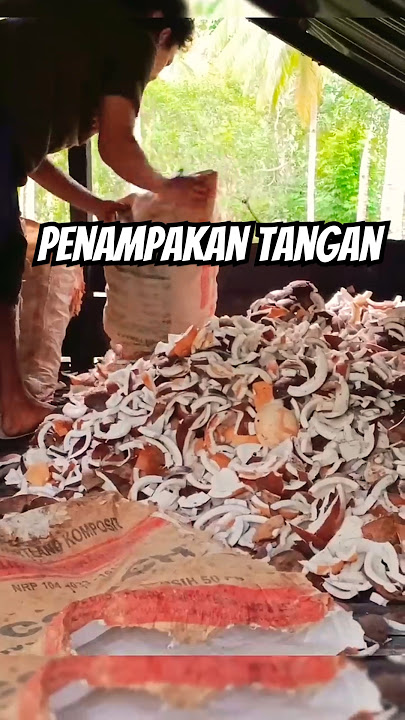 Ada Penampakan Putus Tangan dan Kaki #kelapa