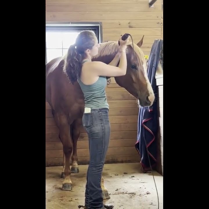 Dressed Up Mechanic Clipping Trailer Loading YouTube dressed-up-mechanic-clipping-trailer-loading-youtube