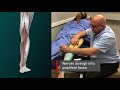 Locating and Treating the Sciatic Nerve - Neural Surface Anatomy Series - Stimpod NMS460
