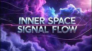Inner Space Signal Flow - Fuse Fiesta - Subtle Percussion Hypnotic Bassline Minimalist