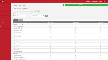 Summary Tab - Raptor SEO Data
