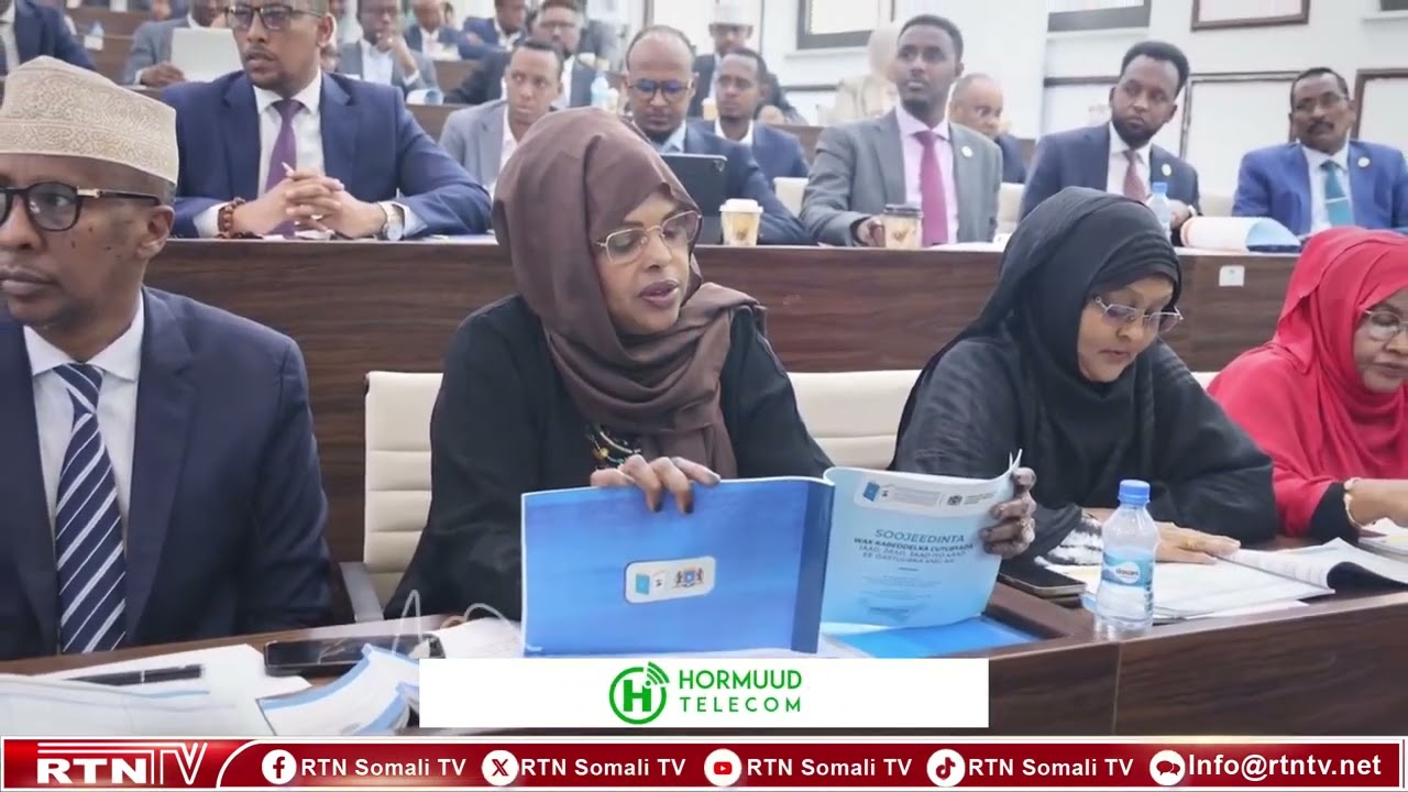 Приведёт ли новая конституция к стабилизации ситуации в Сомали или же спровоцирует новые политиче...