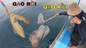 783 )  CUỐI GIỜ CÂU, ĐIỀU MAY MẮN ĐÃ ĐẾN, MONG SAO NGÀY NÀO CŨNG VẬY.