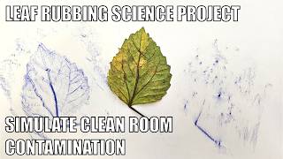 Crayon Leaf Rubbing | Science Project