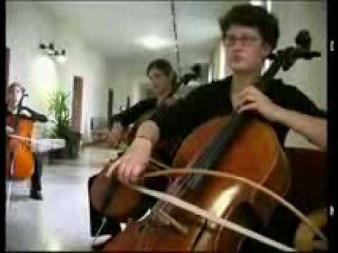 The Polyphonic Cello: Die 12 Cellisten Tbingen (2)