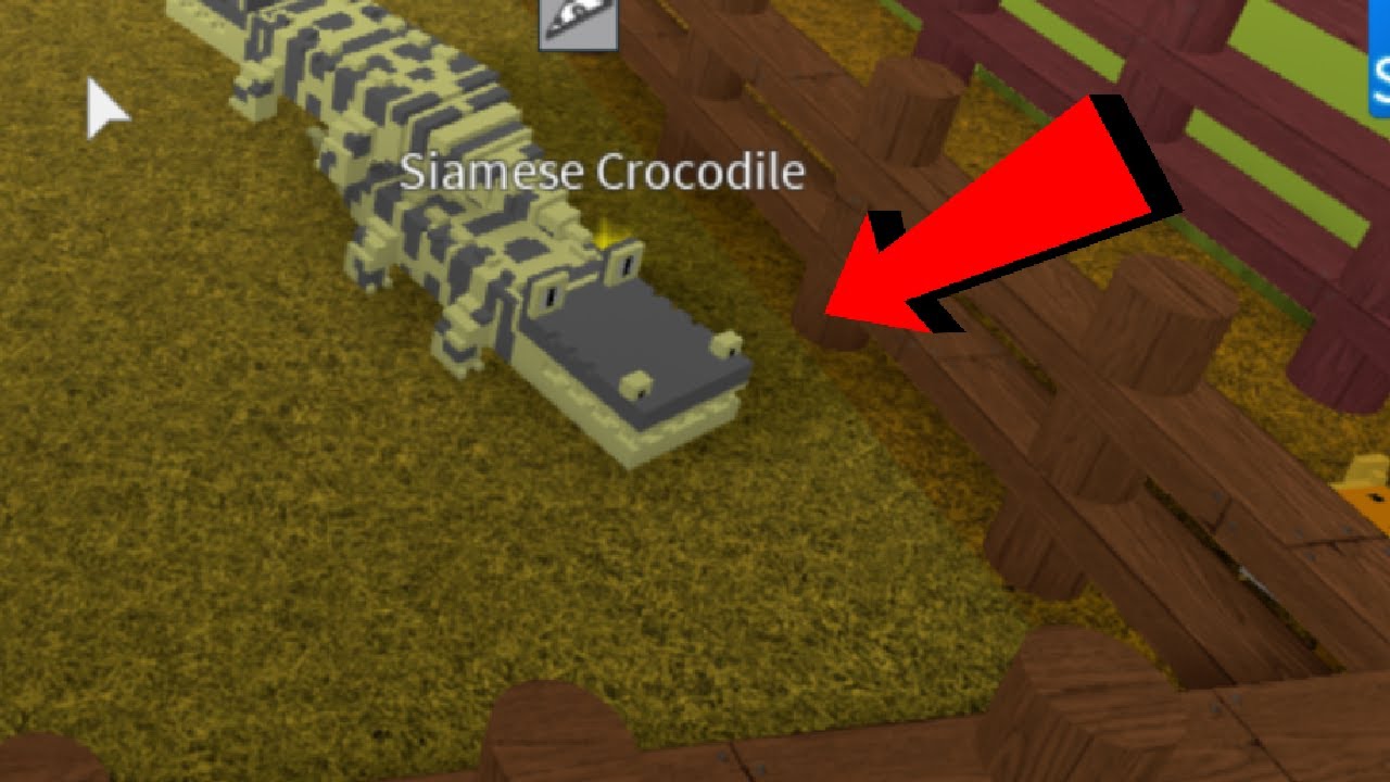 How To Get The Siamese Crocodile In Creature Tycoon Youtube - roblox creatures tycoon zones