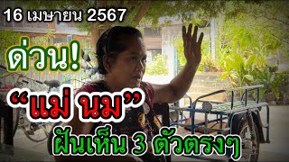 #รีบดูด่วน #แม่นม #ฝันเห็น3ตัวตรงๆ มีคนมาบอกในความฝัน