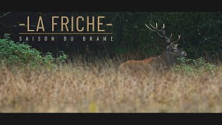 LA FRICHE - SAISON DU BRAME ep 07
