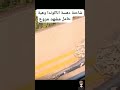 دهس ثعبان وهي حامل حيوانات ثعبان مشاهير ثقافة حياة الحياة البرية