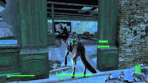 Thanks for nothing, you stupid mutt - Fallout 4