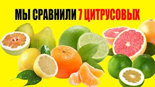 See Which of the 7 Citrus Fruits Are Healthiest