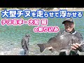 大知昭のチヌの取り込み方 57cm・3kg超の大型チヌをラインを出すソフトなやり取りで キャッチ! #大知昭