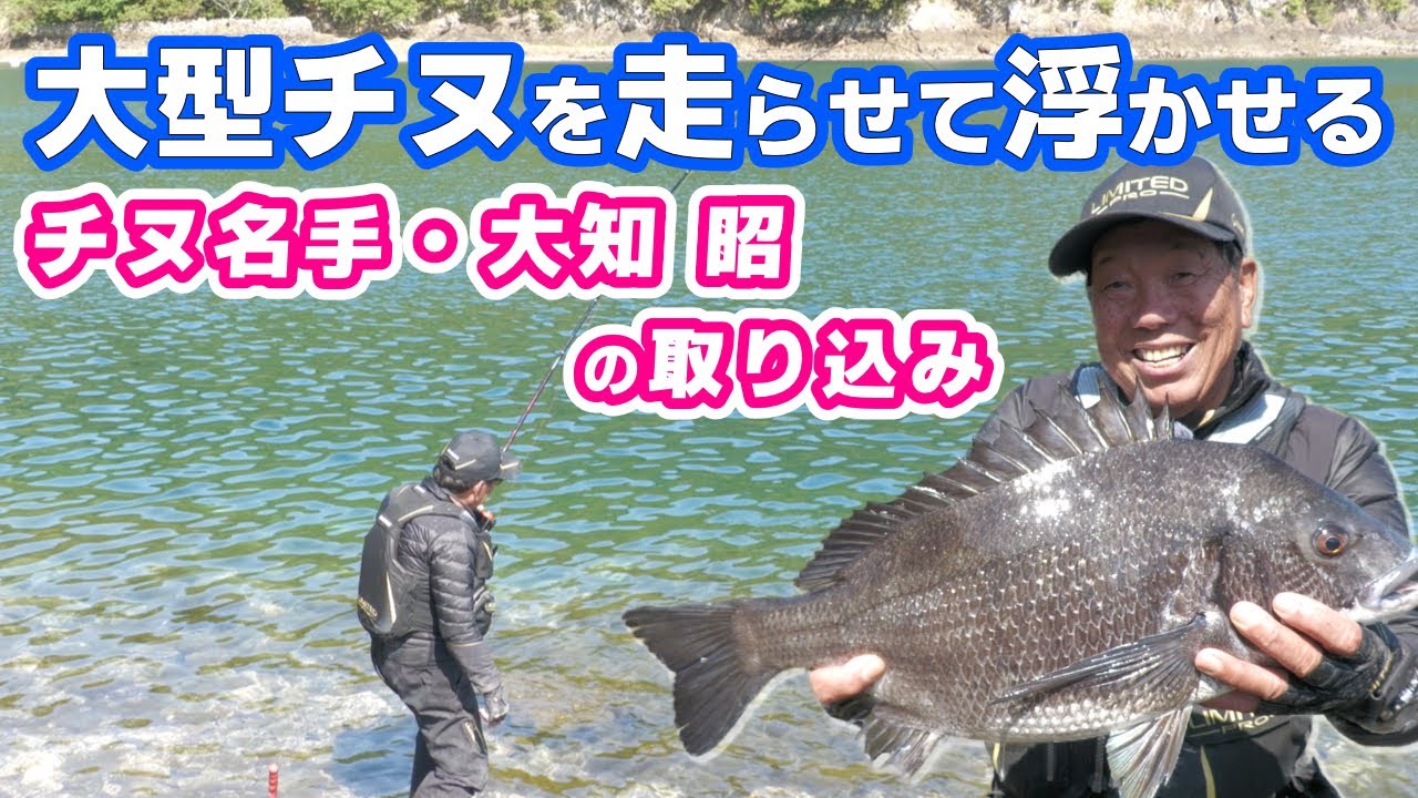 大知昭のチヌの取り込み方  57cm・３kg超の大型チヌをラインを出すソフトなやり取りで キャッチ！ #大知昭