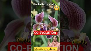 Co-evolution | Orchid | Ophrys Orchid |Do you know ? #flowers #trending #conceptclarity #botanymcq