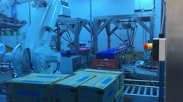 Robot case packer & Robot palletizer by ATS Technology