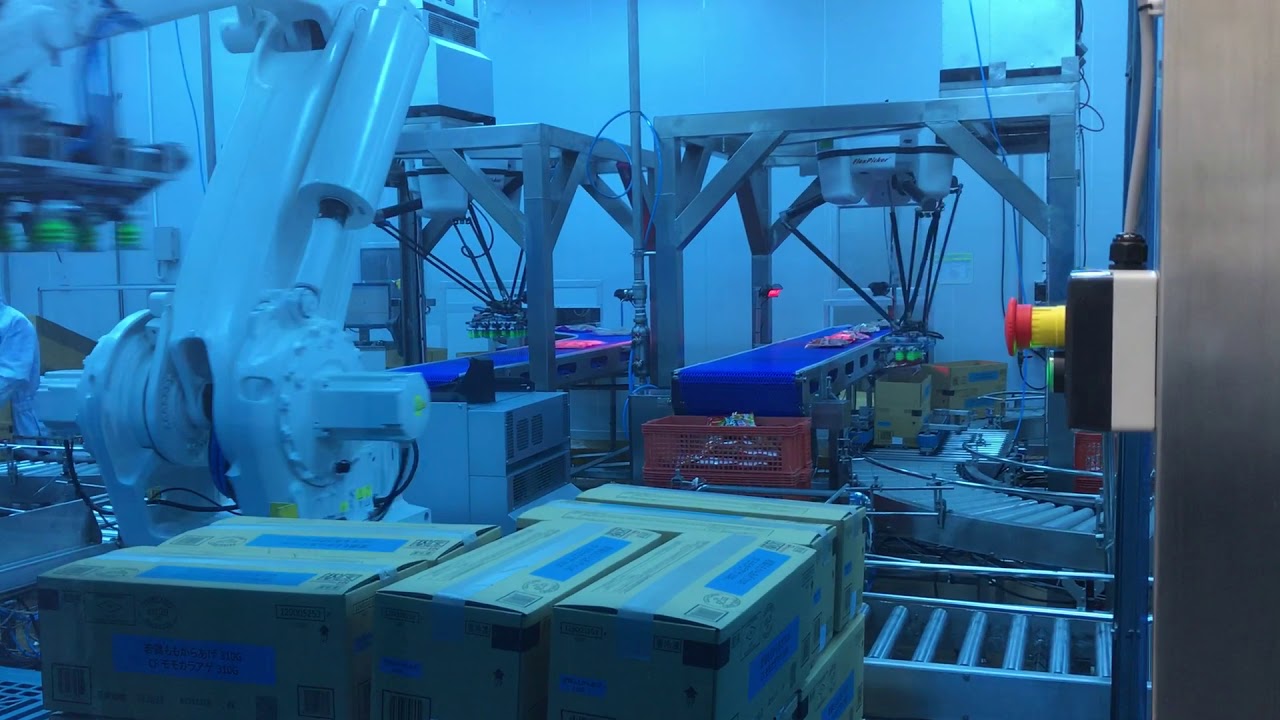 Robot case packer & Robot palletizer by ATS Technology - YouTube