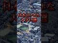 日本のアホな大学5