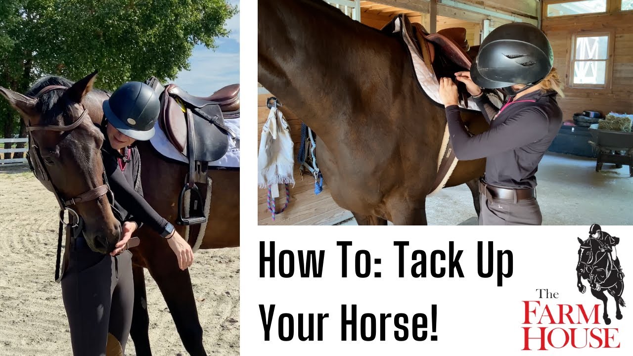 How To Tack Up Your Horse YouTube