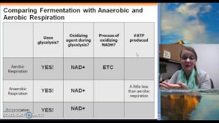 Chapter 9 Fermentation and Catabolic Pathway Intersections