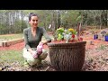 Welcome To Our New Garden | Planting Flowers | Heghineh