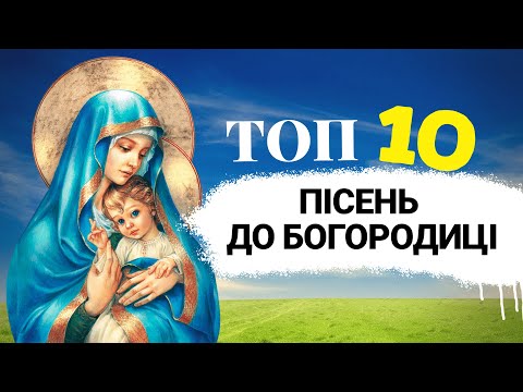 Video: Иттердеги бөйрөктүн иштебей калышы