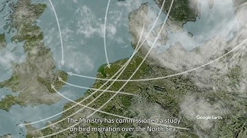 Predicting bird migration with bird radar