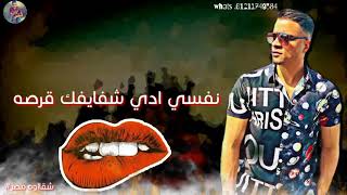 حاله واتس حسن شاكوش كارثة كارثة يا موزه يا فرسه