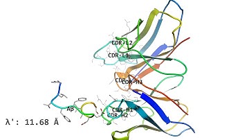 Path sampling Amyloid-β movie S1