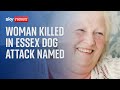 Woman, 68, dies after being mauled by two dogs in Jaywick, Essex