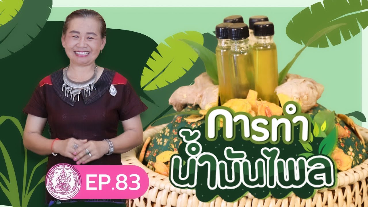 การทำน้ำมันไพล | สูตรโบราณ แก้ปวดเมื่อย