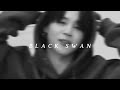 BTS Black Swan Speed Up
