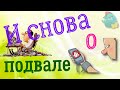 И снова о подвале / Коллекторы и звонки / Капли тетушки Фиры