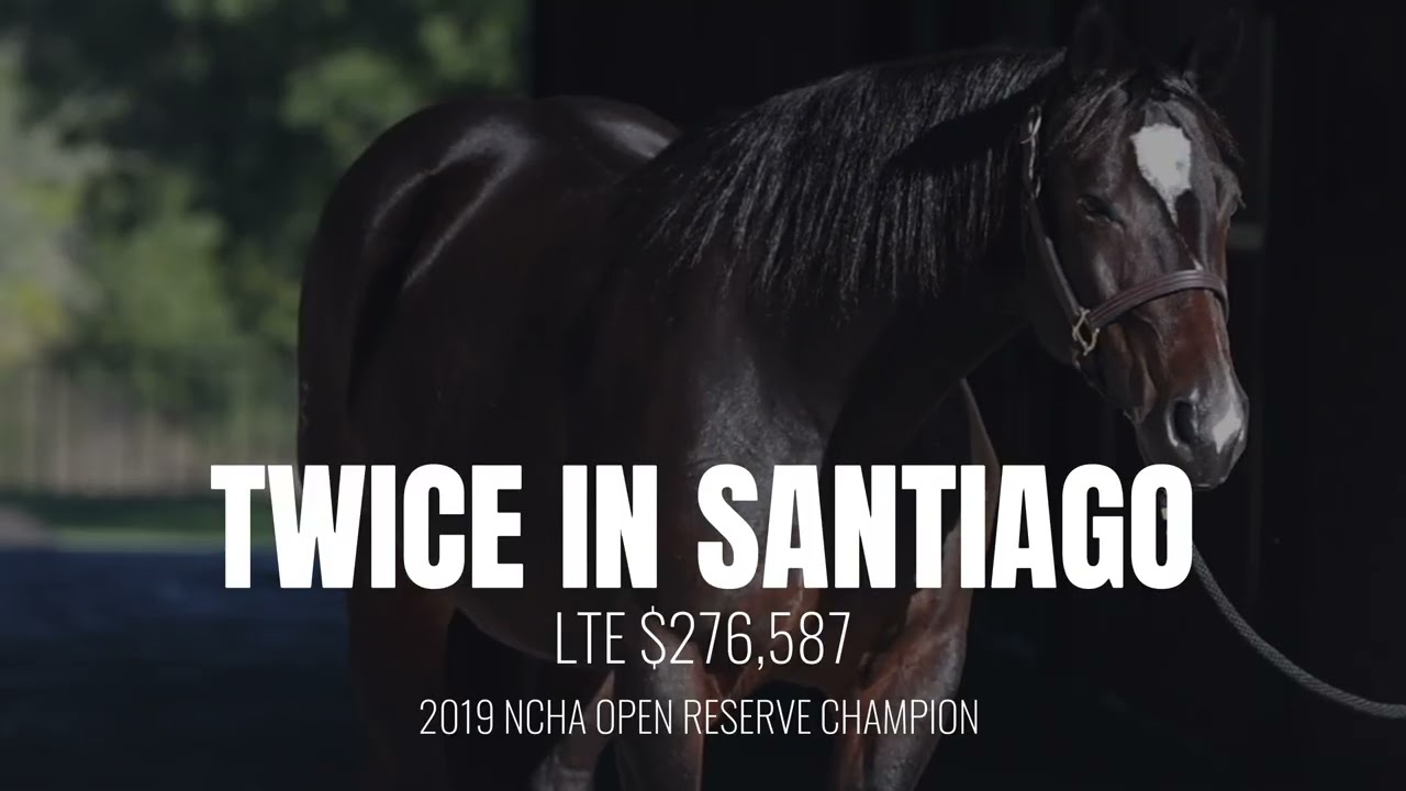 Once in a Blu Boon - Commercial