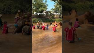 Taking shower for the elephants 🐘