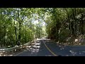 360 Video _ Man-made Forrest , @ Bohol