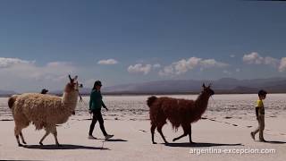 Salinas Grandes, région Nord-Est, Argentine