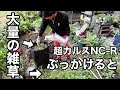 【米ぬか不要】とんでもないことになりました。 【園芸超人カーメン君】【雑草対策】【超カルスNC-R】