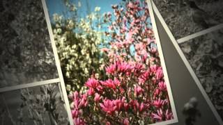 I love this song and it is dedicated to my late cousin Daphne. I di...
