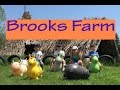 Amazing fun at brooks farm  great activities farm animals and fruit picking