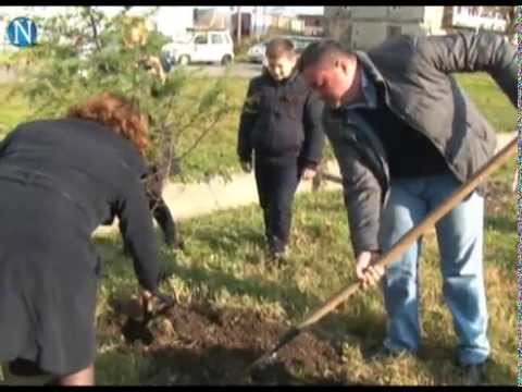 საკრებულოს თავმჯდომარემ და მესამესკოლელ მოსწავლეებთან ერთად გამწვანების აქციაში მიიღეს მონაწილეობა