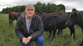 Managing a Small Cattle Herd